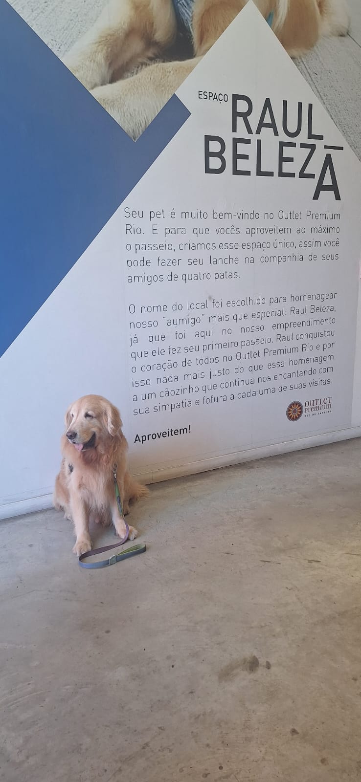 O Espaço Pet Raul Beleza atrai muitas pessoas com filhos de quatro patas