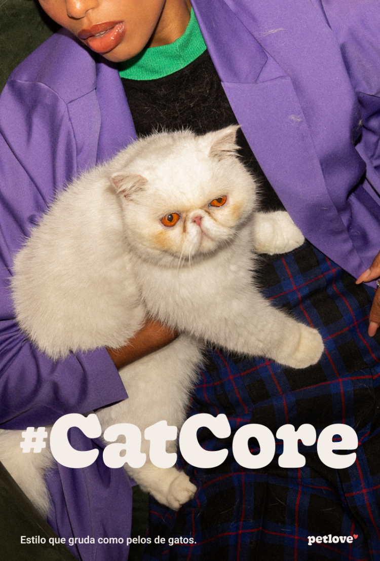 #CatCore