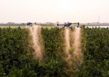 Gohobby lidera inovação no agronegócio