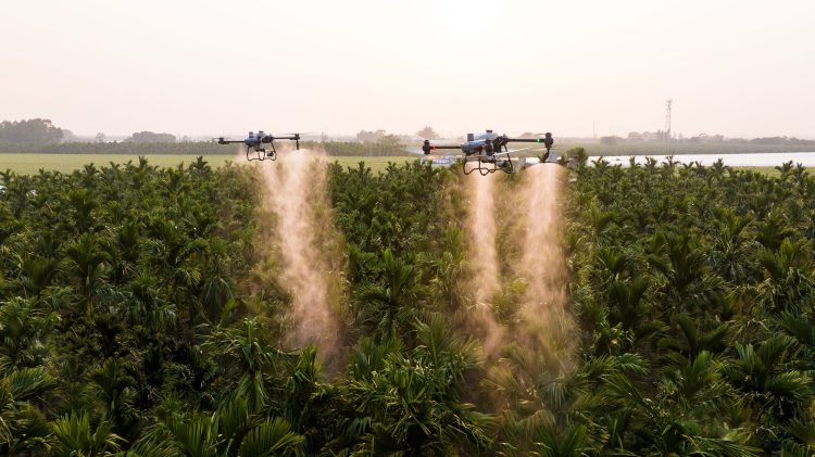 Gohobby lidera inovação no agronegócio