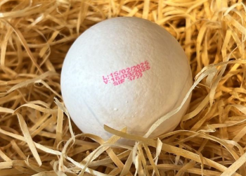 MANTIQUEIRA BRASIL - OVOS NOVA REGULAMENTAÇÃO