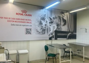 Sala de Fluidoterapia para felinos no Hospital Veterinário da USP, adaptada pela ROYAL CANIN® para proporcionar um ambiente mais tranquilo e seguro durante o tratamento.