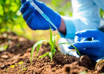 Metade dos agricultores no Brasil usa produtos feitos a partir de elementos naturais 