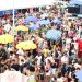 Blocos de rua garantem a folia na capital federal