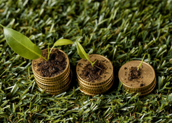 Investimento sustentável