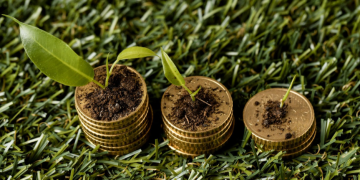 Investimento sustentável