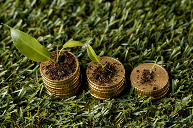 Investimento sustentável