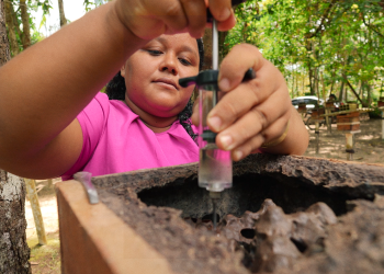 Foto: Matheus Melo / Amazônia Vox