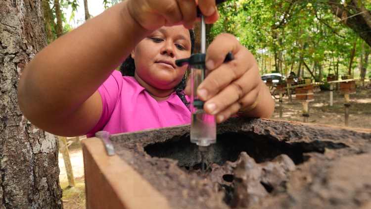 Foto: Matheus Melo / Amazônia Vox