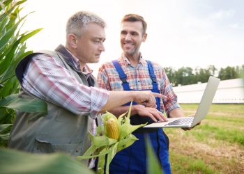 Pesquisa também propõe que o cooperativismo desperta emoções positivas no debate digital