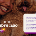 Menos espirros e mais amor: no Dia Mundial da Alergia, Petlove e Allegra se unem para mostrar que a alergia a pelos não precisa ser motivo de abrir mão do pet