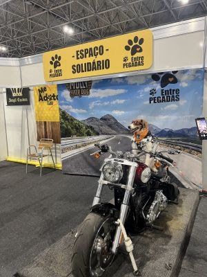 Festival Moto Brasil