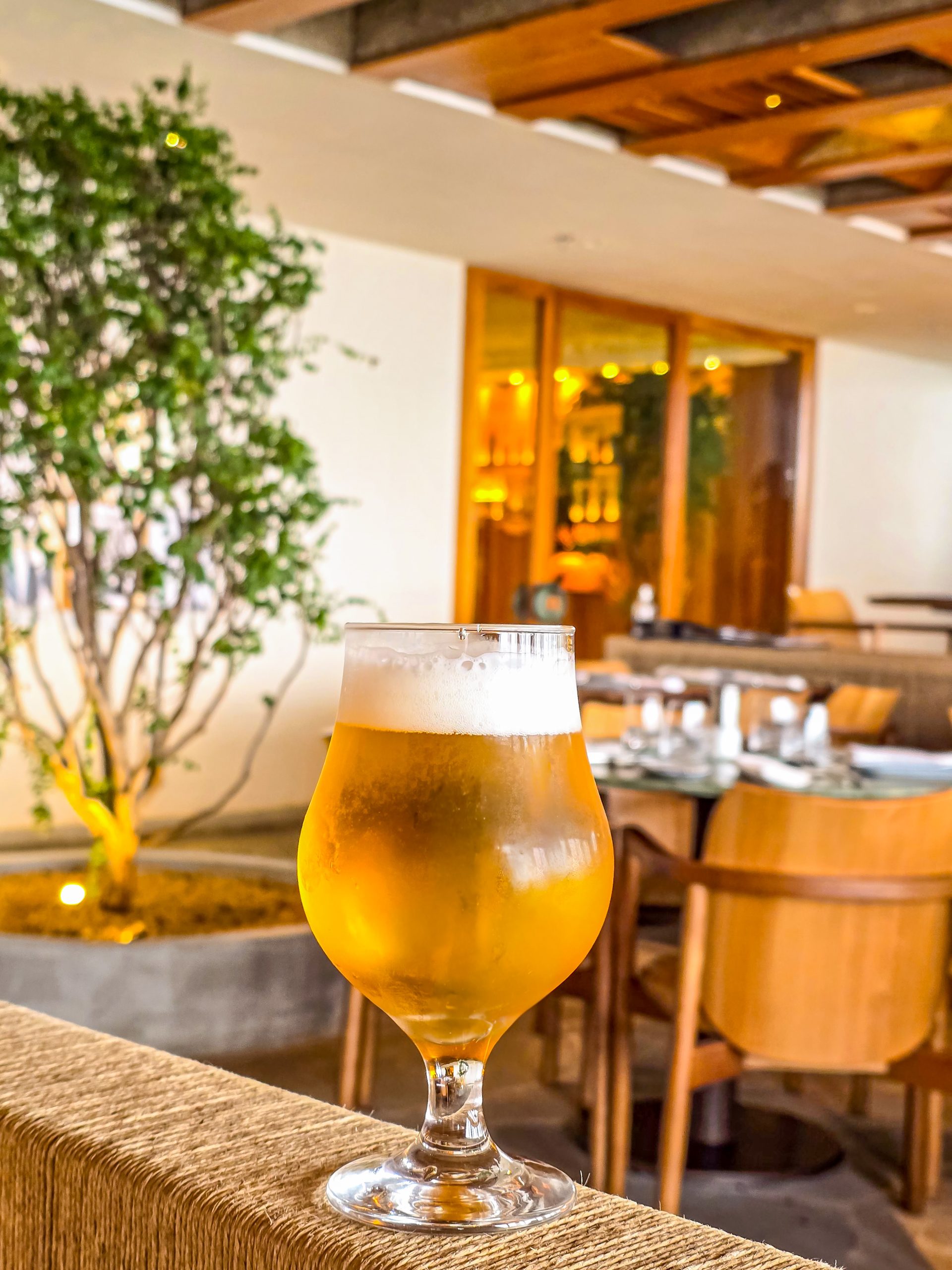 Skylab - Dia dos Pais - Cerveja - foto: Ricardo Cyrillo