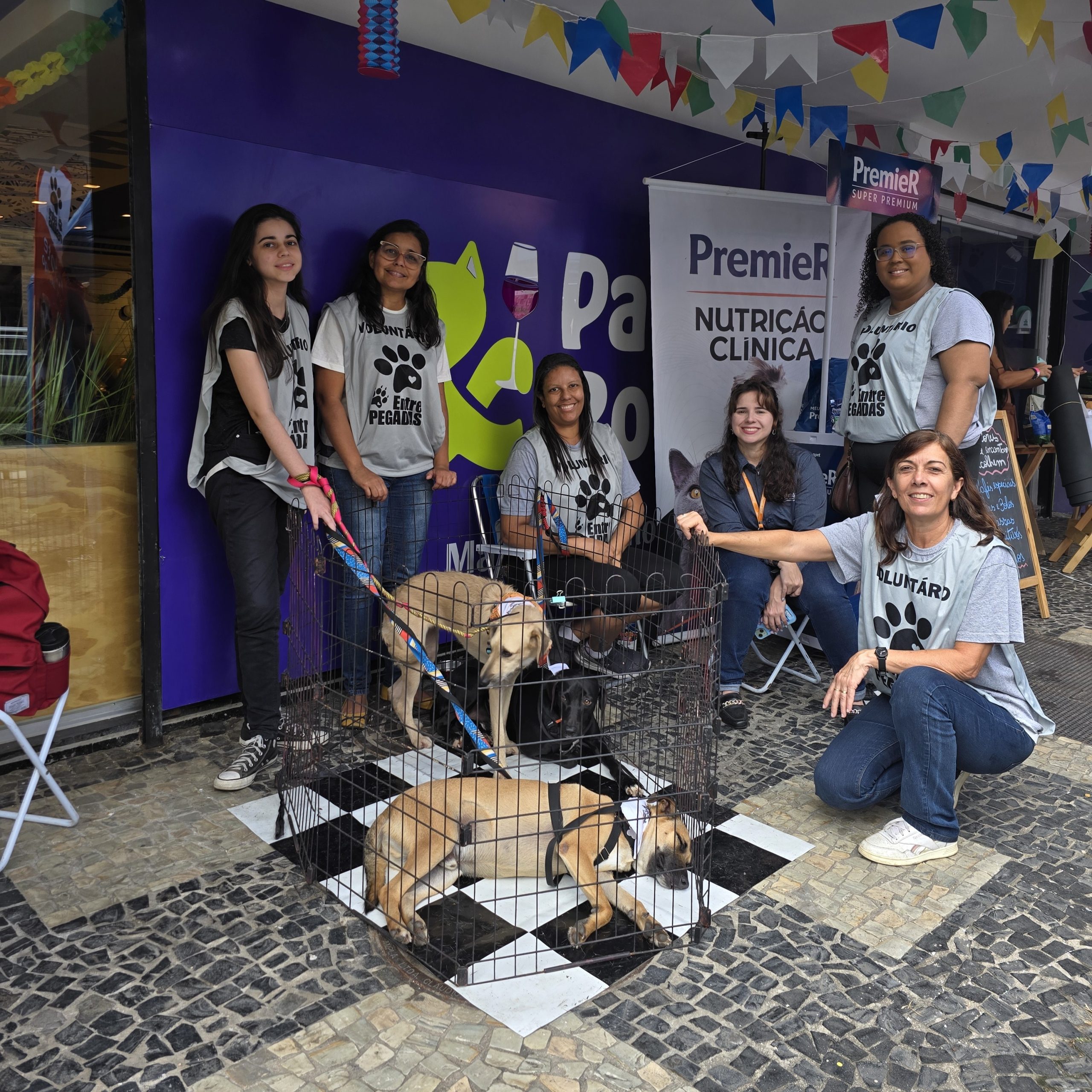 Trabalho dos voluntários é árduoVGCOM - FMB 2025 - Entre Pegadas