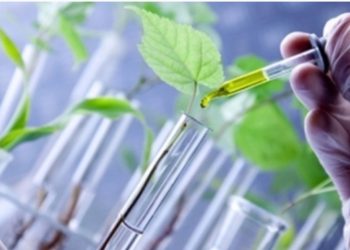 Agro mantém lavouras, mas reduz aposta em inovação em meio a tarifaço e eleições