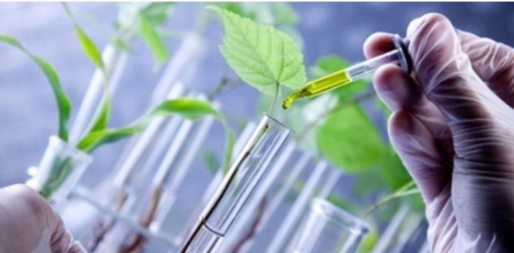 Agro mantém lavouras, mas reduz aposta em inovação em meio a tarifaço e eleições