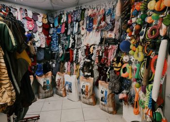 Dicas para identificar boas ofertas e evitar compras por impulso para pet