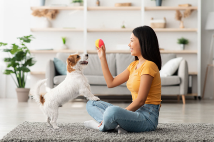 Casa limpa e pet-friendly: como manter o lar em ordem com a ajuda da tecnologia