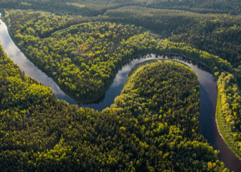 Agência de comunicação promove webinar gratuito para jornalistas que vão cobrir a COP30
