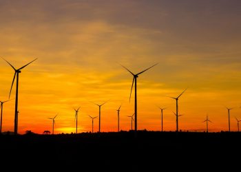 Paulo Narcélio, economista, destaca como empresas tradicionais de combustíveis podem se adaptar à transição energética