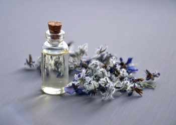 Notas de topo, coração e fundo: como entender cada perfume?