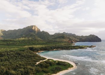 Como montar um orçamento realista para conhecer Fernando de Noronha