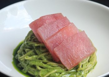 Koral - Verão - Tonno - Foto: Yasmim Alves.