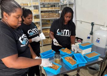 Tecnologia inovadora e inédita usada em Ecofábrica na Mangueira aplica biorremediação para o melhorar saneamento e qualidade de vida da comunidade