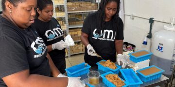 Tecnologia inovadora e inédita usada em Ecofábrica na Mangueira aplica biorremediação para o melhorar saneamento e qualidade de vida da comunidade