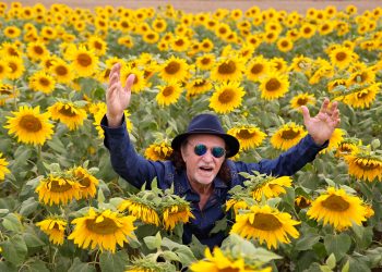 Alceu Valença - 80 Girassóis