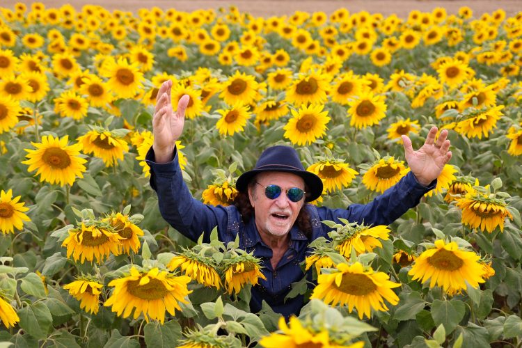 Alceu Valença - 80 Girassóis