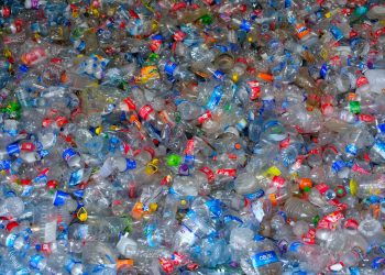 Do lixo ao ativo: como a rastreabilidade pode destravar a economia circular brasileira