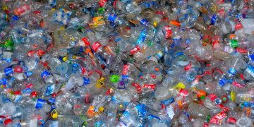 Do lixo ao ativo: como a rastreabilidade pode destravar a economia circular brasileira