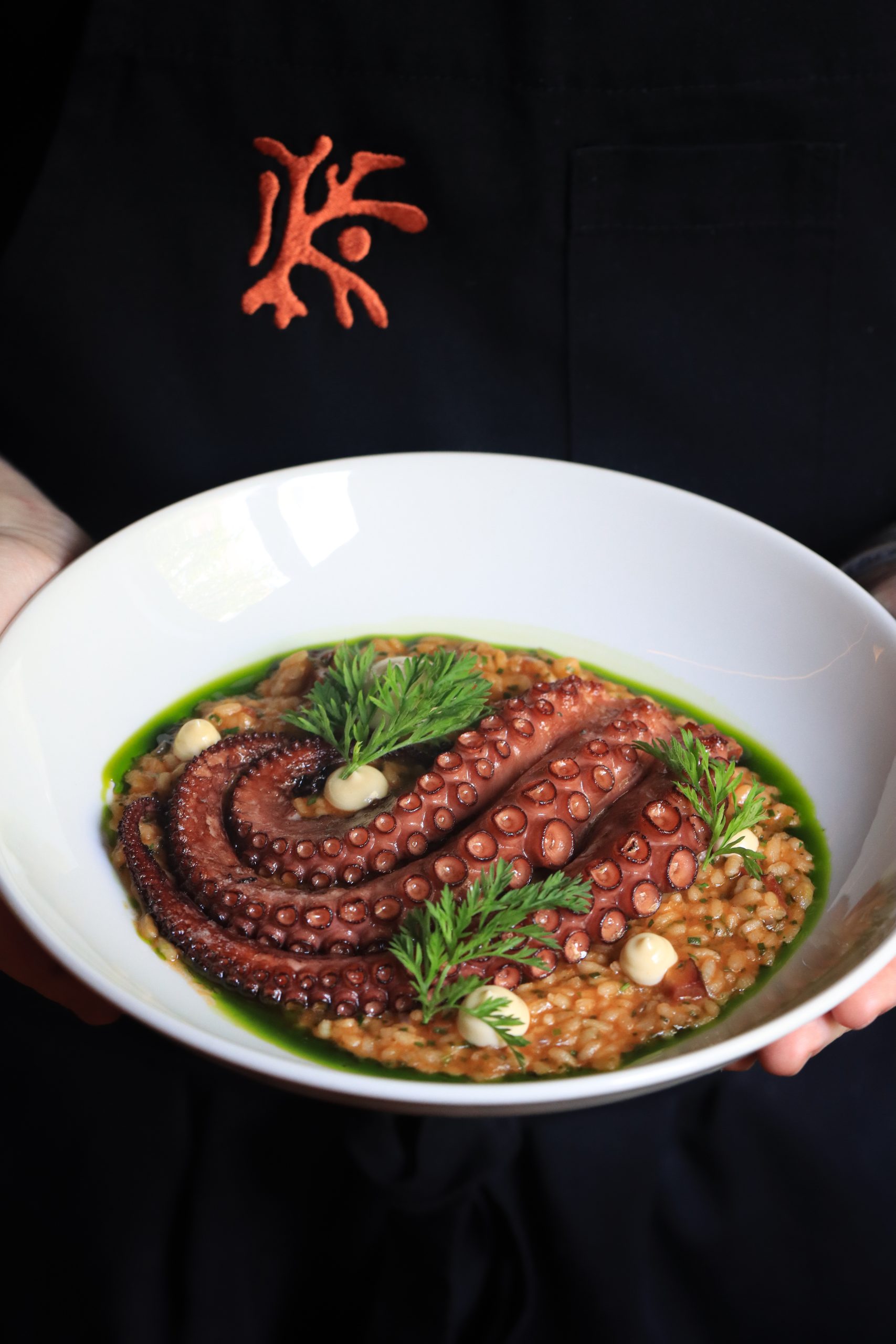 Polvo na Brasa - Foto: Yasmim Alves