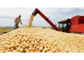 Exportação de soja registra alta de 12,5% na média diária do mês