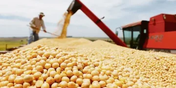 Exportação de soja registra alta de 12,5% na média diária do mês