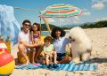 Nova Coleção Primavera Verão KLIN
