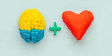 Conexão emocional