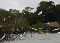 Combate a crimes de fronteira na Amazônia