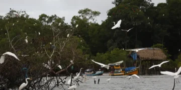 Combate a crimes de fronteira na Amazônia