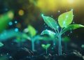 Summit de Nutrição Vegetal Inteligente
