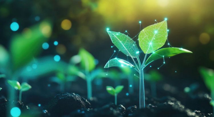 Summit de Nutrição Vegetal Inteligente