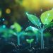 Summit de Nutrição Vegetal Inteligente