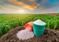 Fertilizantes