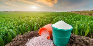 Fertilizantes