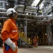 Crescimento na economia