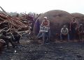Trabalho escravo