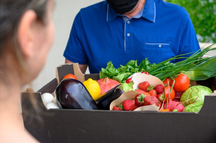 Do armazenamento ao transporte: como funciona a logística de alimentos perecíveis