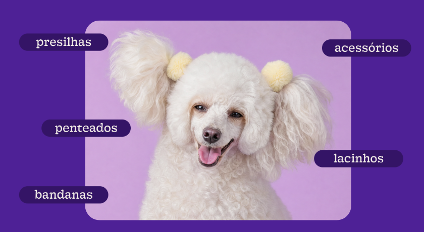 Na Petlove, o bem-estar dos pets sempre vem em primeiro lugar. Não será utilizado nenhum acessório que possa causar desconforto, estresse ou incômodo. Afinal, dá pra arrasar no look de forma confortável.