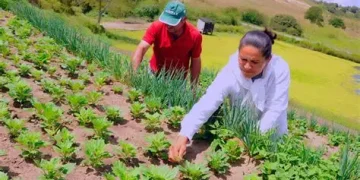 Pequenos produtores